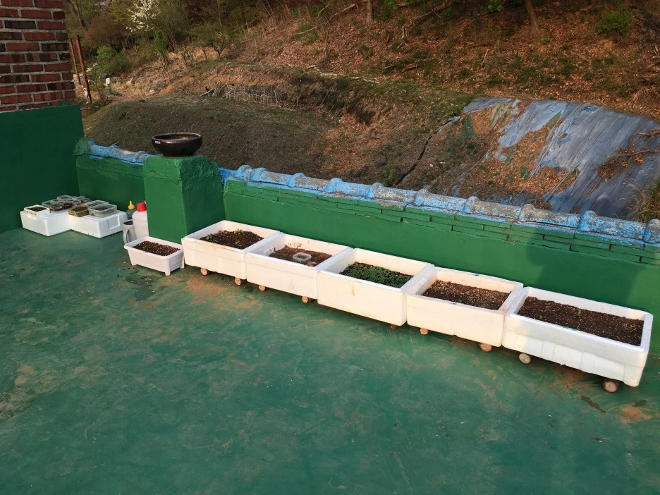 20210410_0723.JPG?type=w1