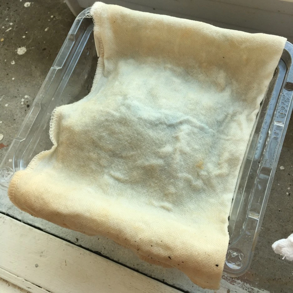 20210419_2858.JPG?type=w1