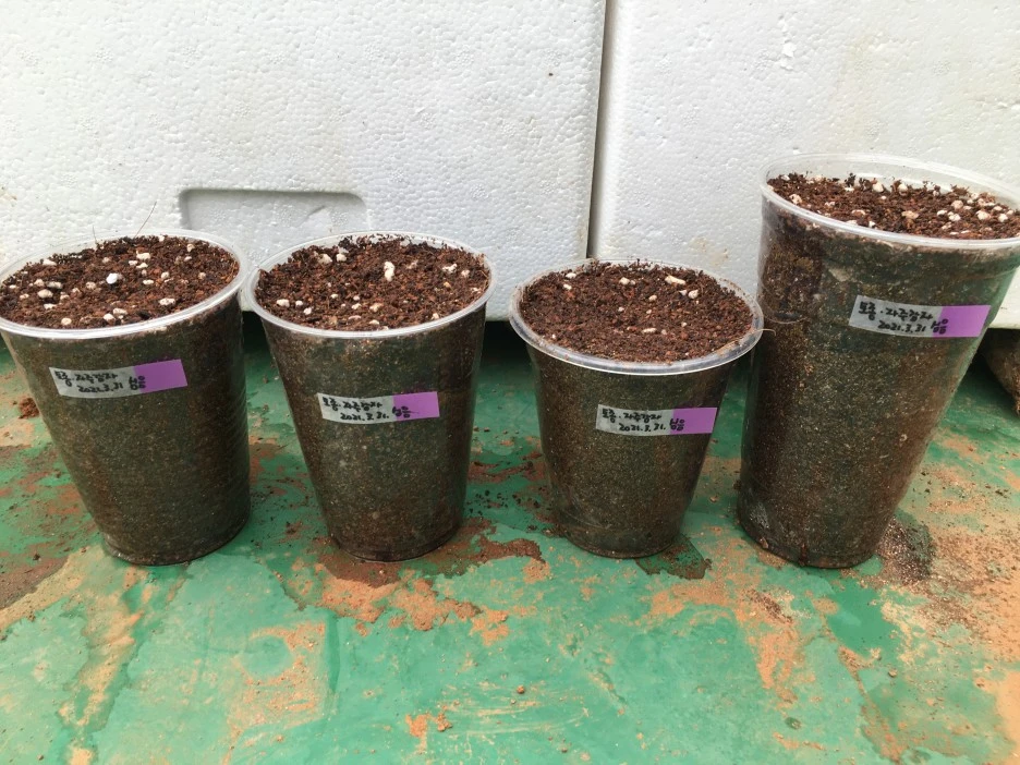 20210402_0517.JPG?type=w1