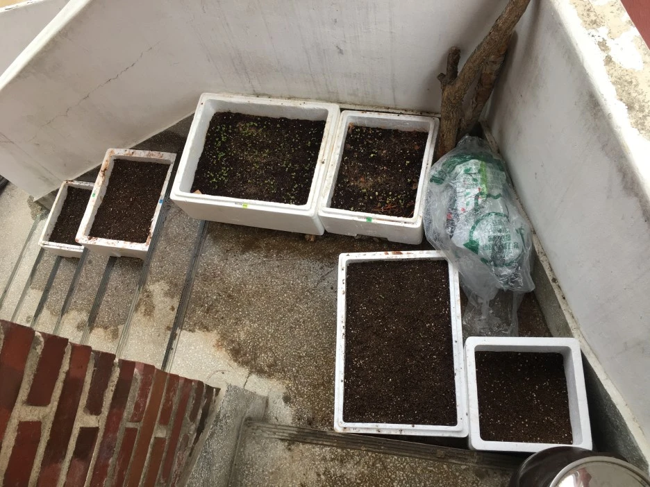 20210327_0358.JPG?type=w1