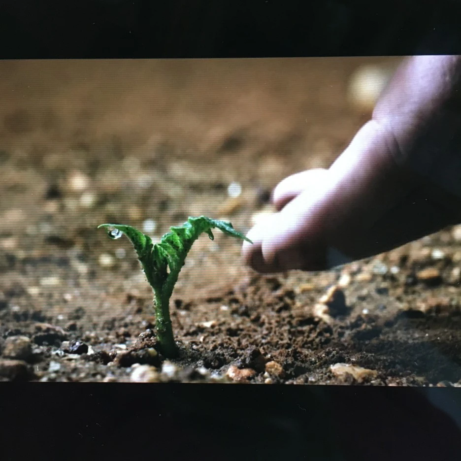 20210413_1019.JPG?type=w1