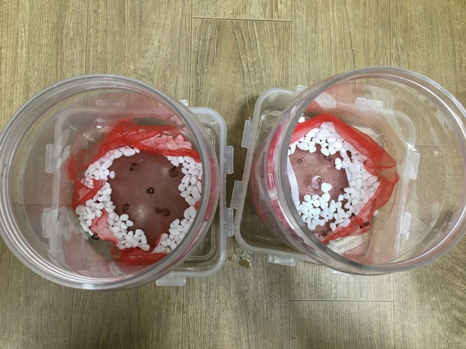 20210309_0107.jpg?type=w1