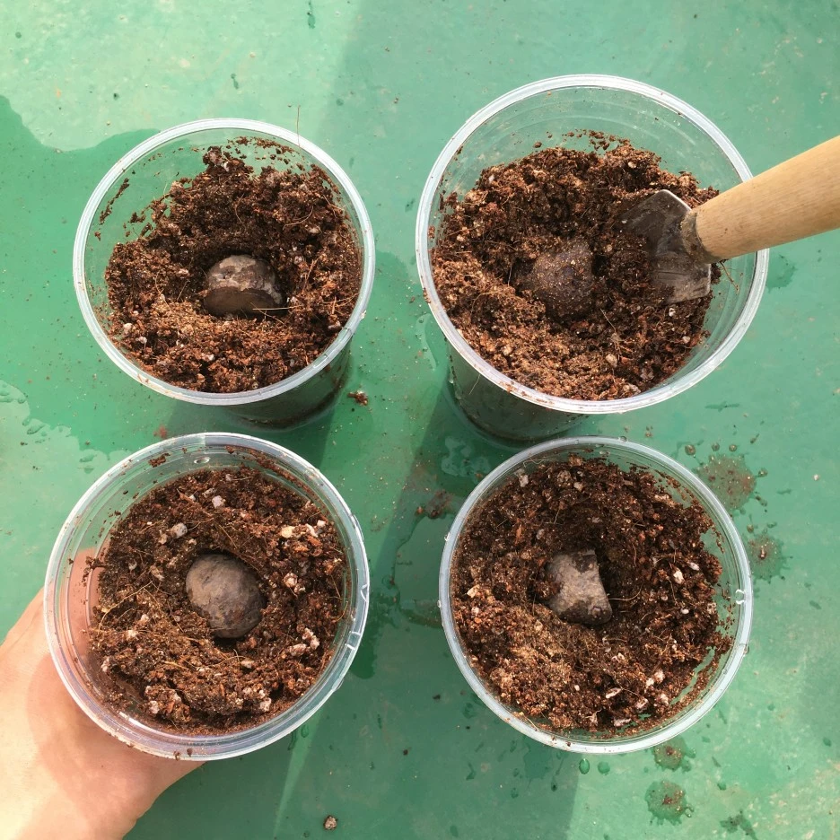 20210401_0474.JPG?type=w1