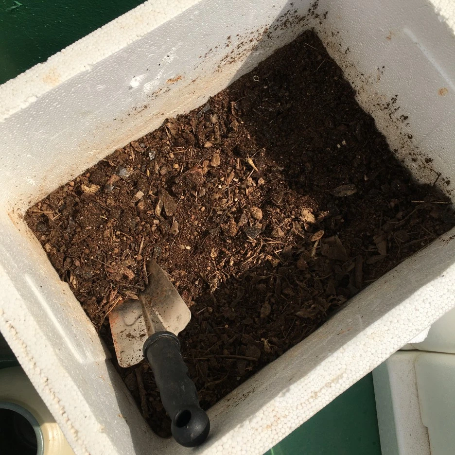 20210514_1472.JPG?type=w1