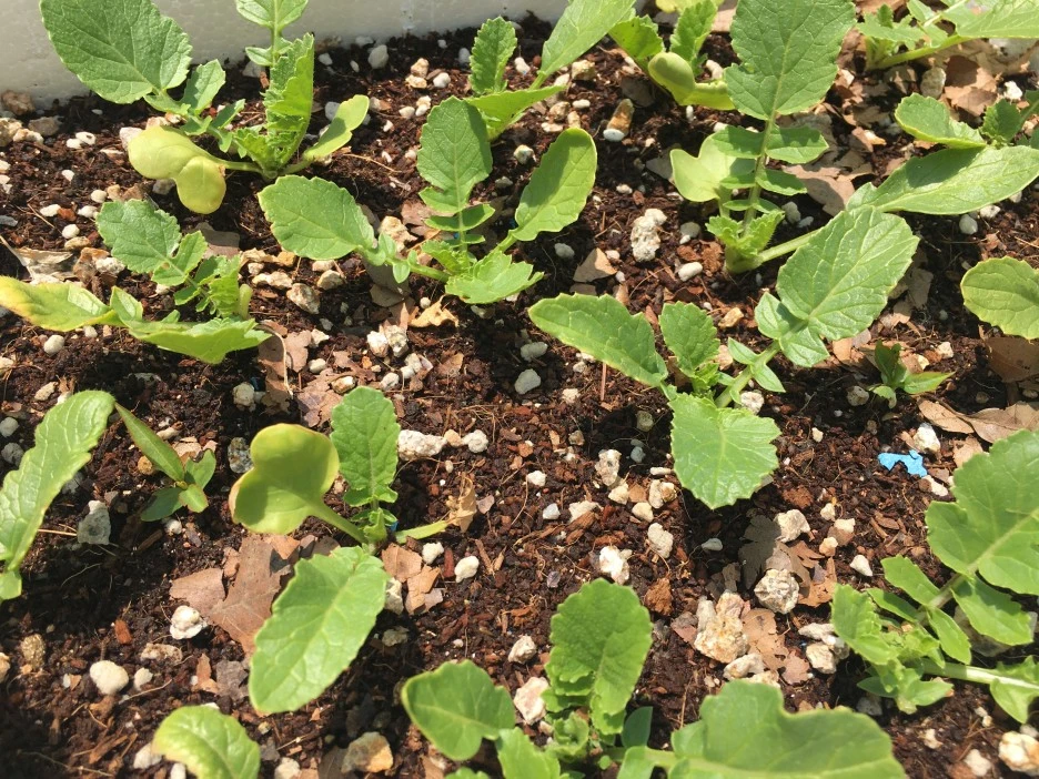 20210503_1248.JPG?type=w1