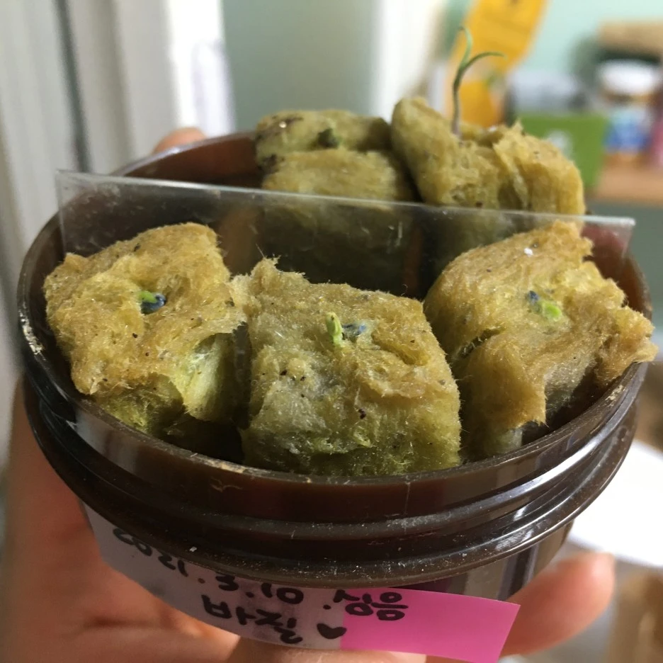 20210407_0556.JPG?type=w1