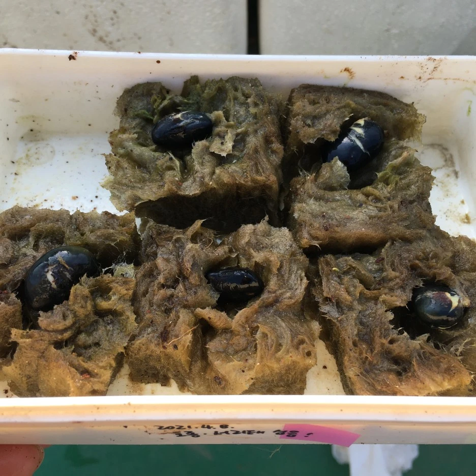 20210425_1045.JPG?type=w1