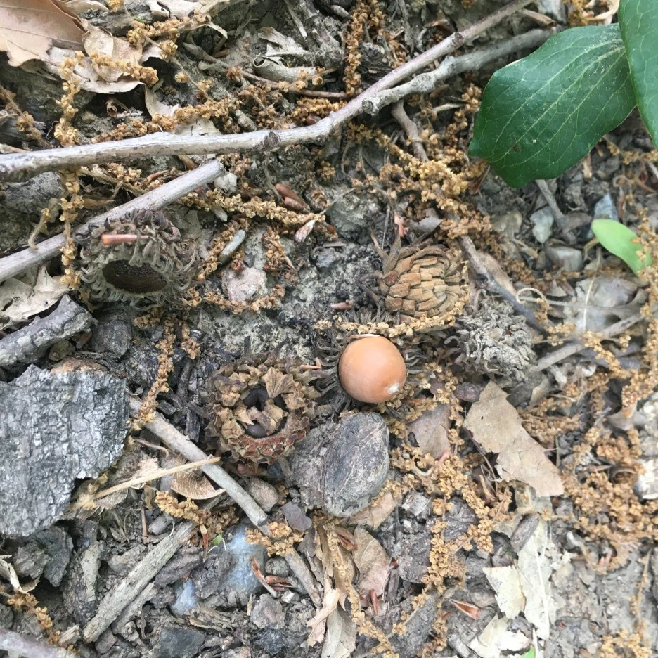 20210511_1389.JPG?type=w1