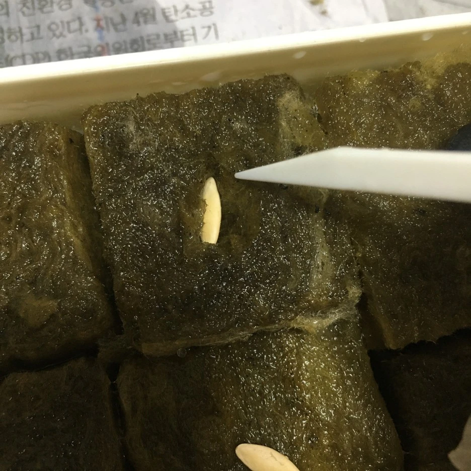 20210408_0606.JPG?type=w1