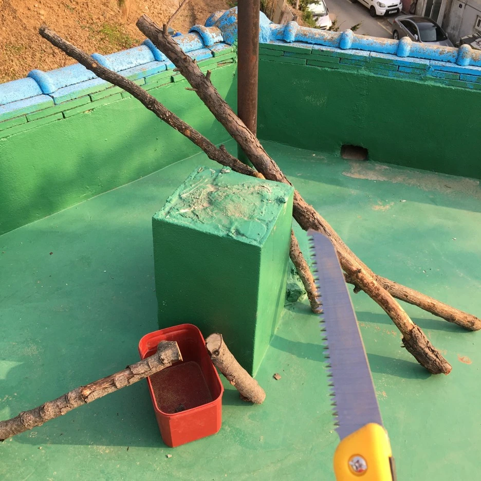 20210410_0716.JPG?type=w1