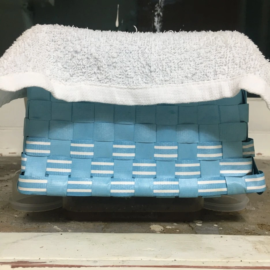 20210420_2878.JPG?type=w1