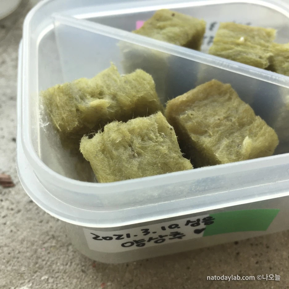 20210315--%EB%82%A0%EC%A7%9C-2.jpg?type=w1