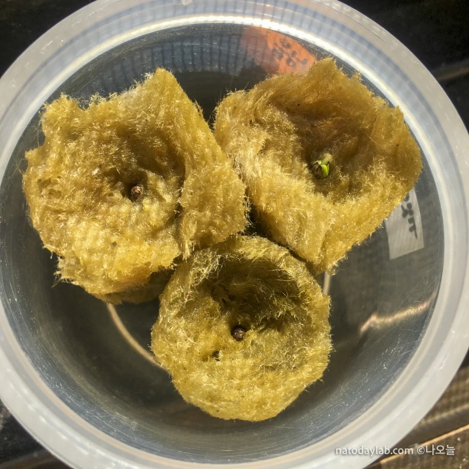 20210227-.jpg?type=w1