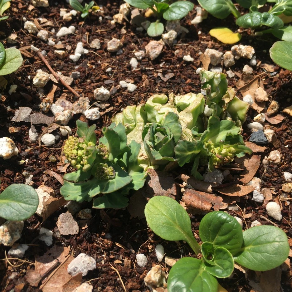 IMG_0998.JPG?type=w1