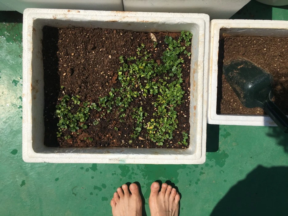 20210414_1044.JPG?type=w1