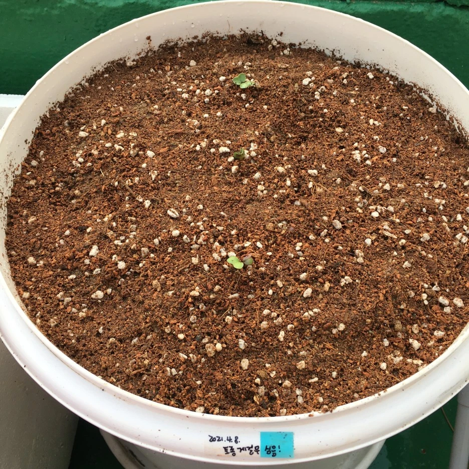 20210417_1147.JPG?type=w1