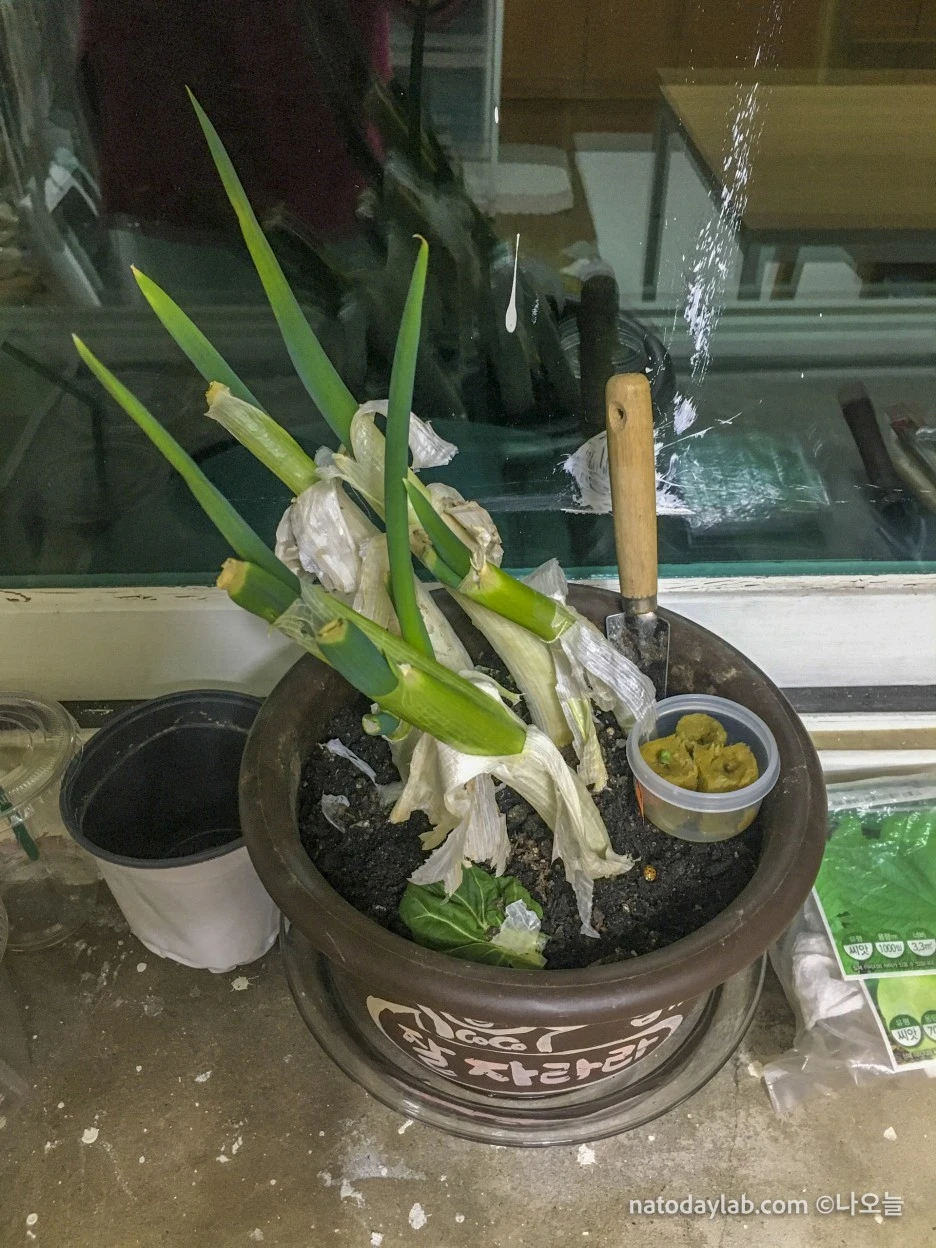 20210302--12.jpg?type=w1