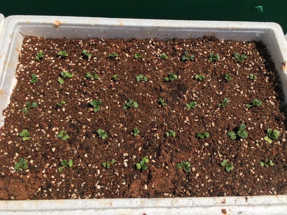 20210414_1042.JPG?type=w1