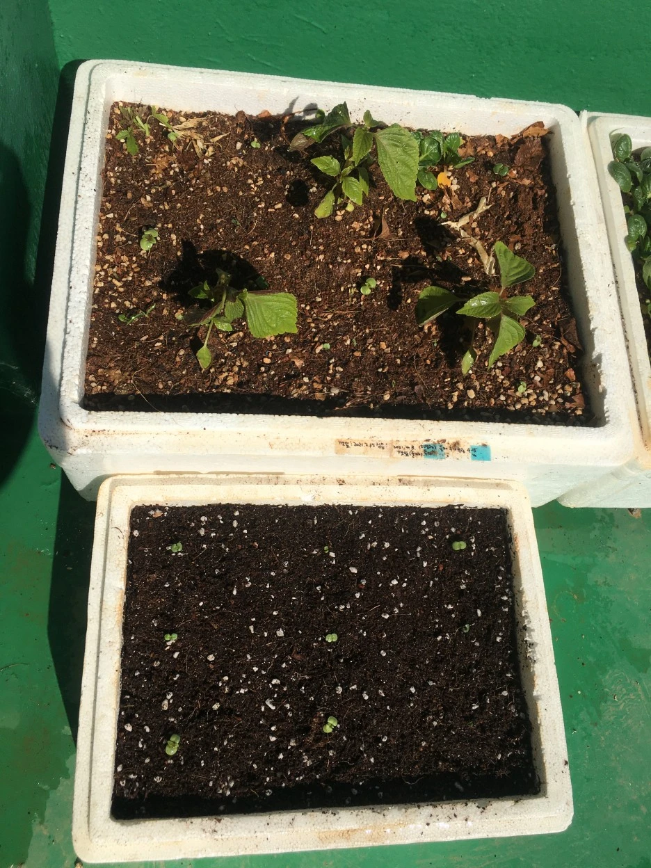 20210509_1333.JPG?type=w1