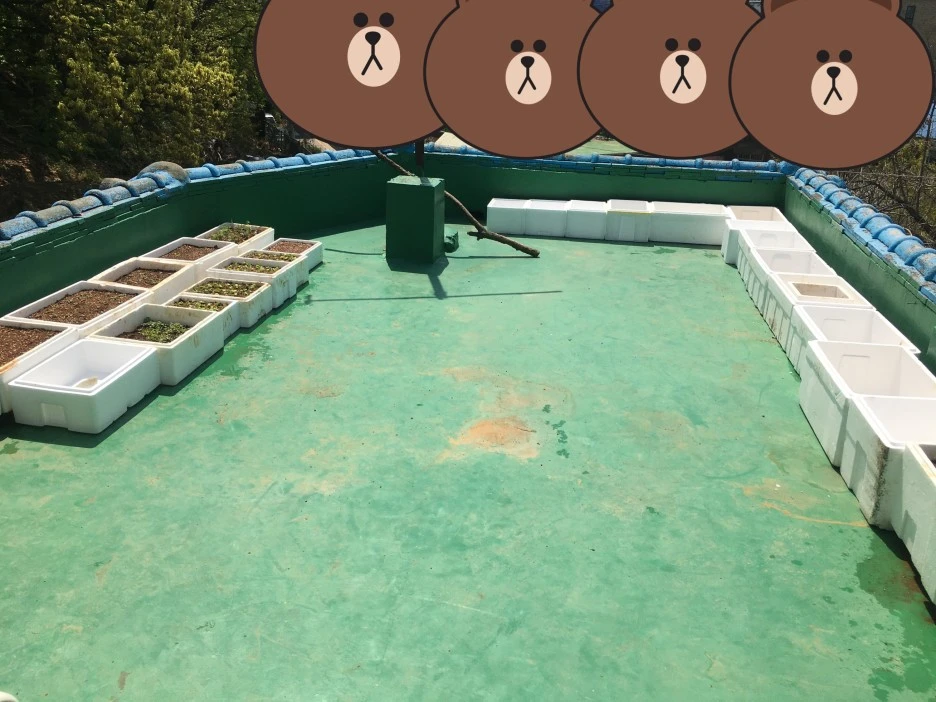 SE-f11529b9-f8ba-42ab-839d-1ac48f6bfaae.jpg?type=w1