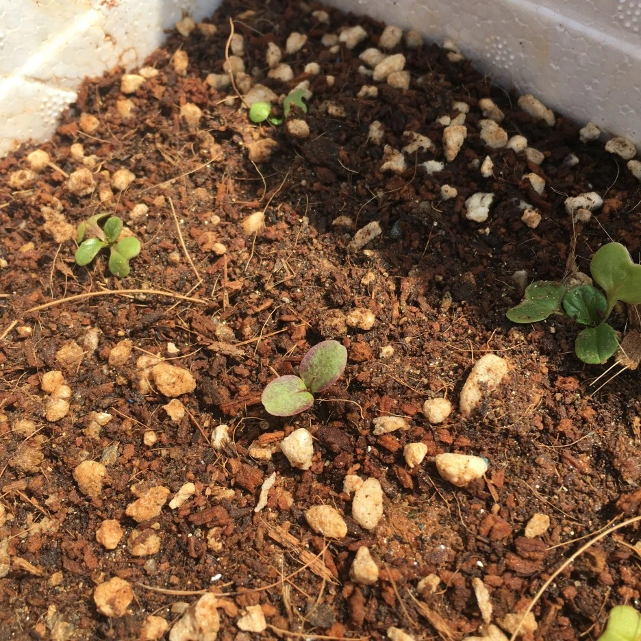 20210415_1085.JPG?type=w1