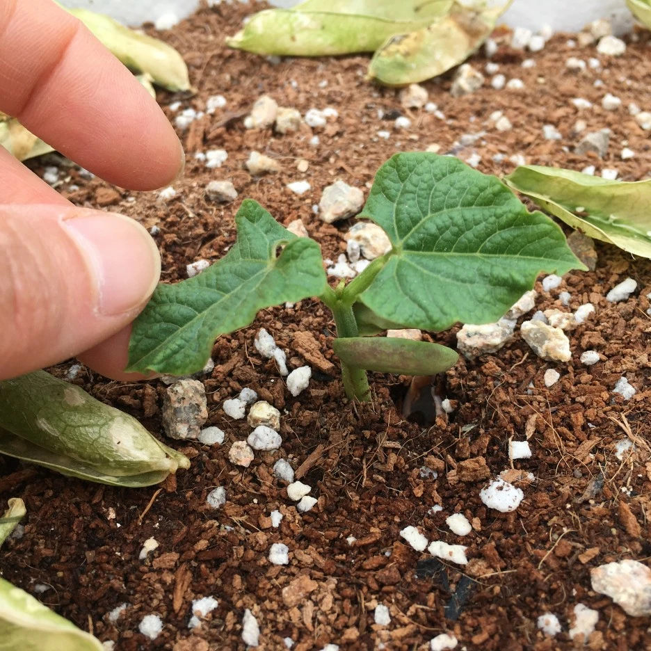 20210427_1118.JPG?type=w1