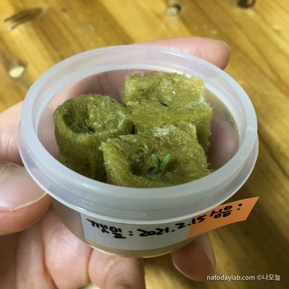 20210301--19.jpg?type=w1