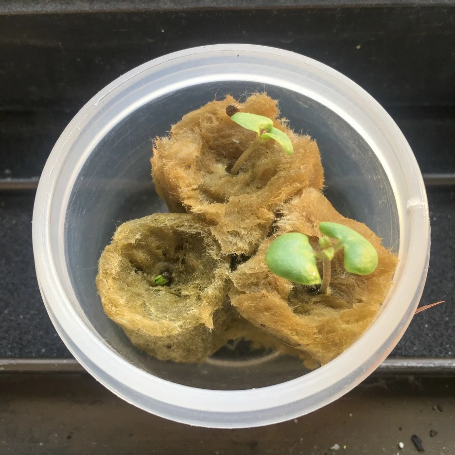 20210307_0084.jpg?type=w1