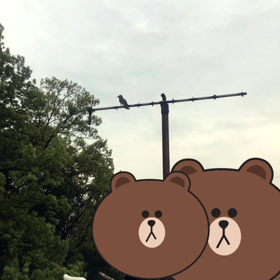 SE-76298dd3-2c4b-4b47-87c7-a0962481083d.jpg?type=w1