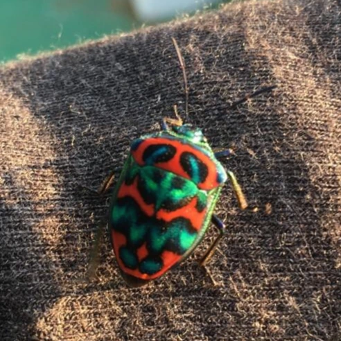 20210425_1055.JPG?type=w1