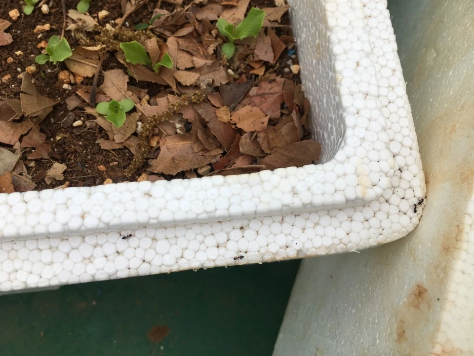 20210427_1107.JPG?type=w1