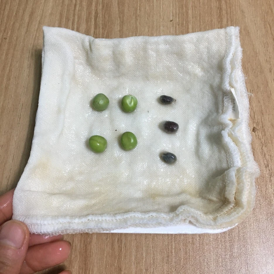 20210425_1068.JPG?type=w1