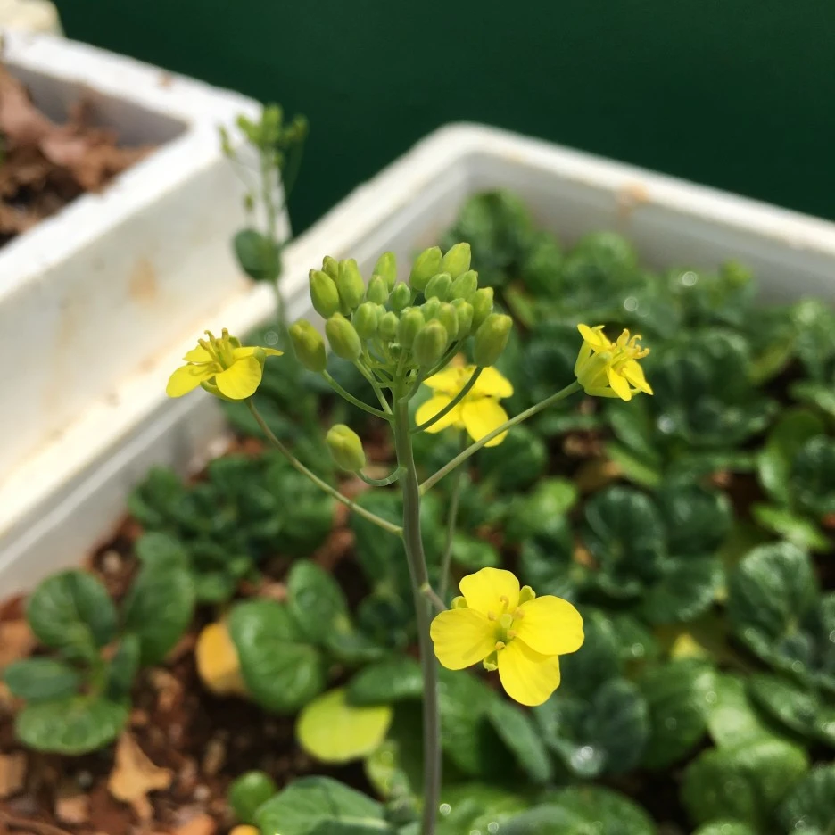 20210514_1489.JPG?type=w1