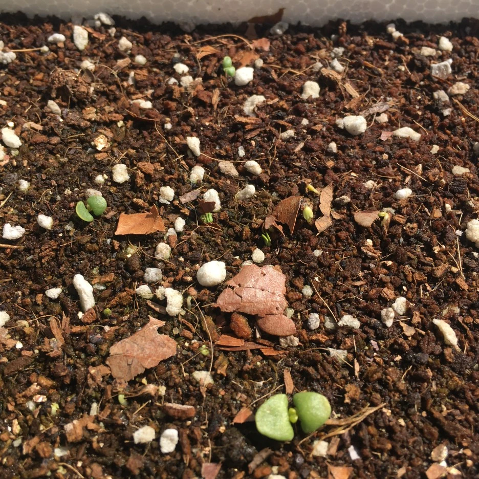 IMG_0996.JPG?type=w1