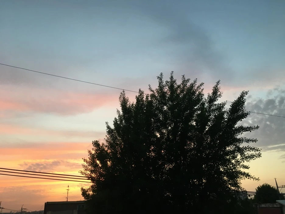 20210506_0109.JPG?type=w1