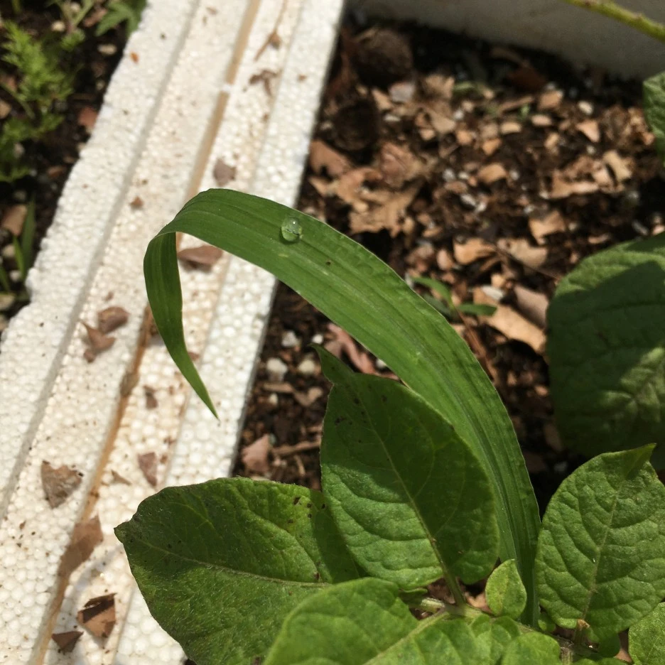 IMG_2300.JPG?type=w1