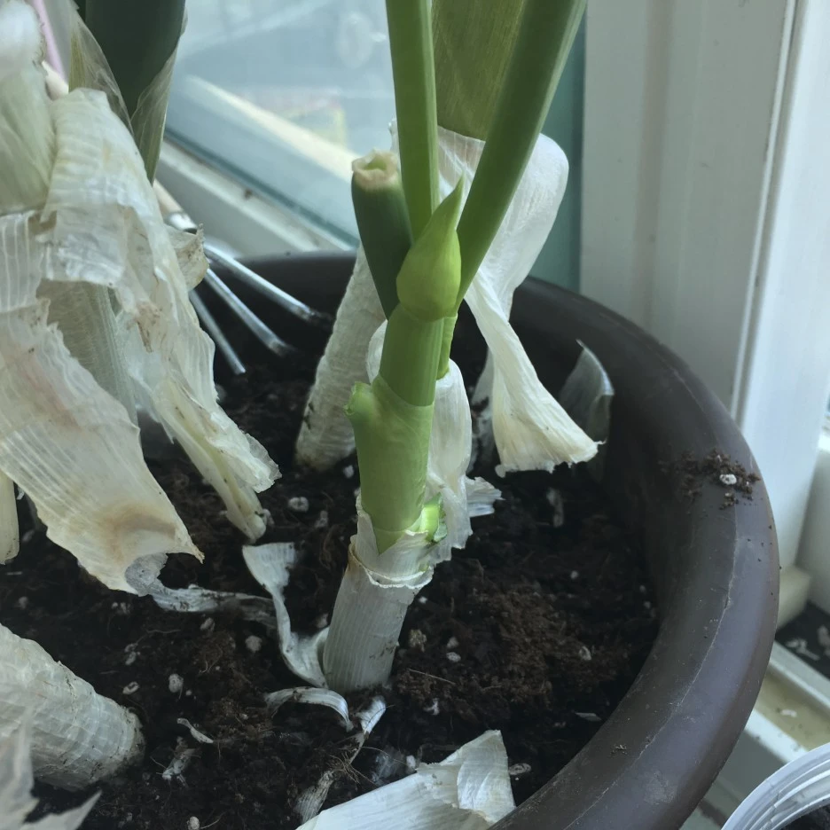 20210314_0191.jpg?type=w1