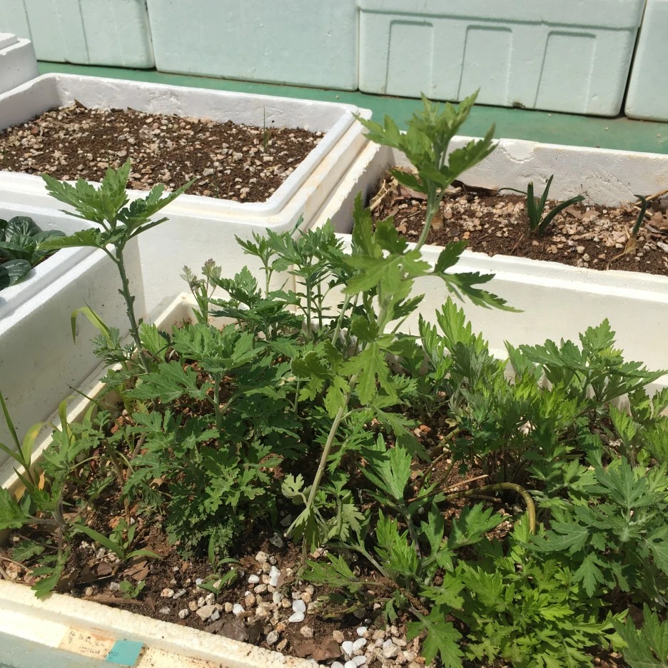 20210512_1419.JPG?type=w1