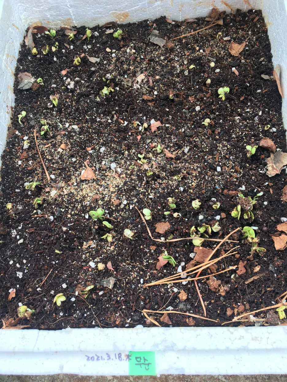 20210327_0353.JPG?type=w1