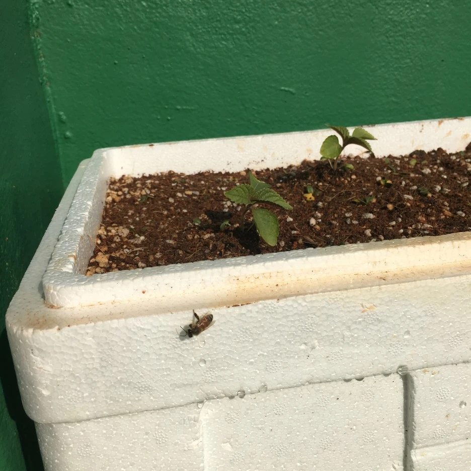 20210415_1102.JPG?type=w1