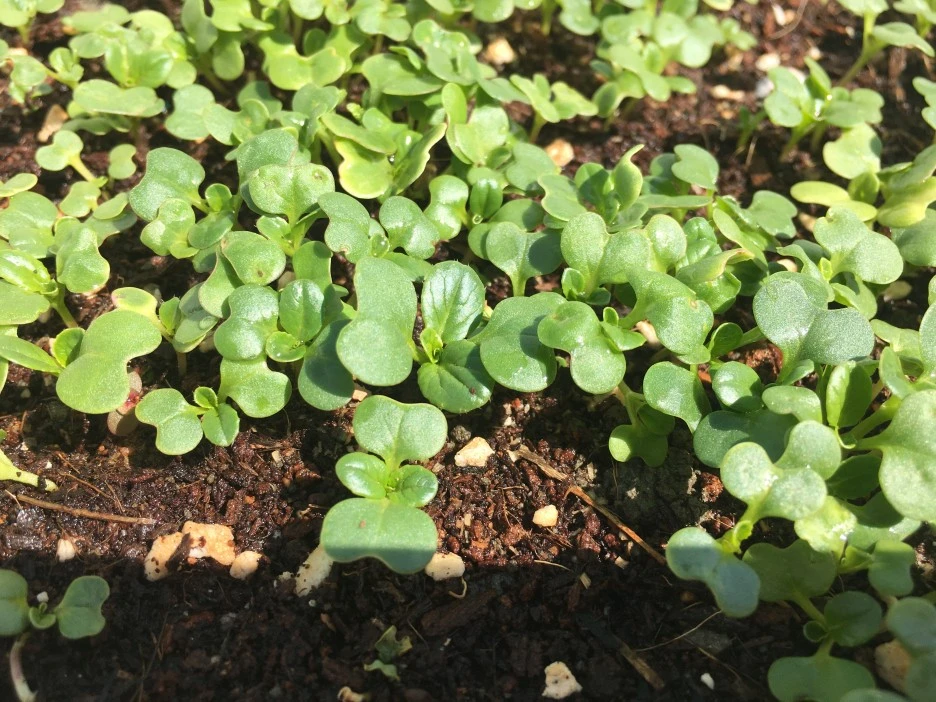 20210408_0572.JPG?type=w1