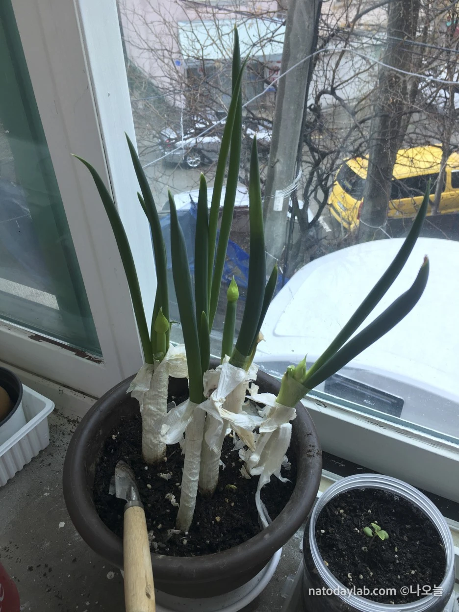 20210320--%EB%82%A0%EC%A7%9C-4.jpg?type=w1