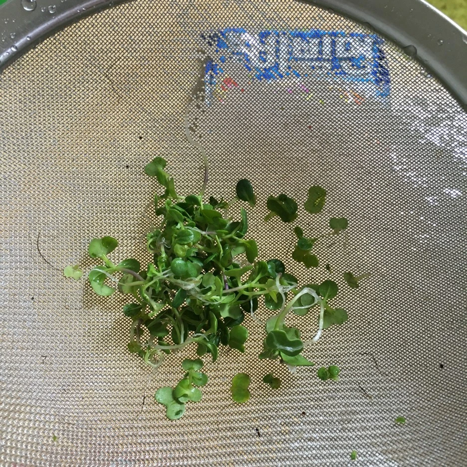 20210413_1002.JPG?type=w1