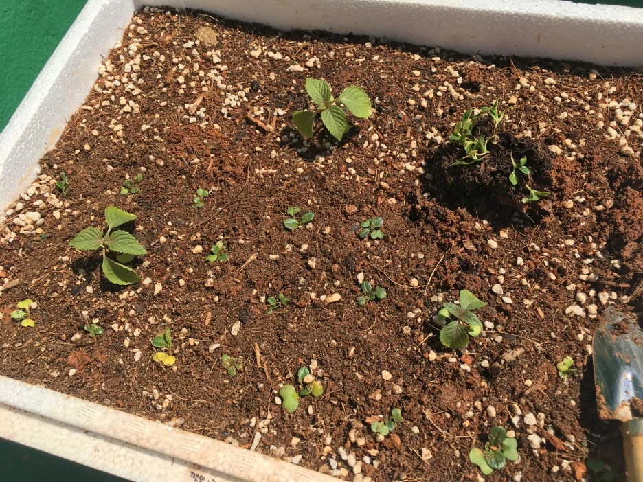 20210414_1037.JPG?type=w1