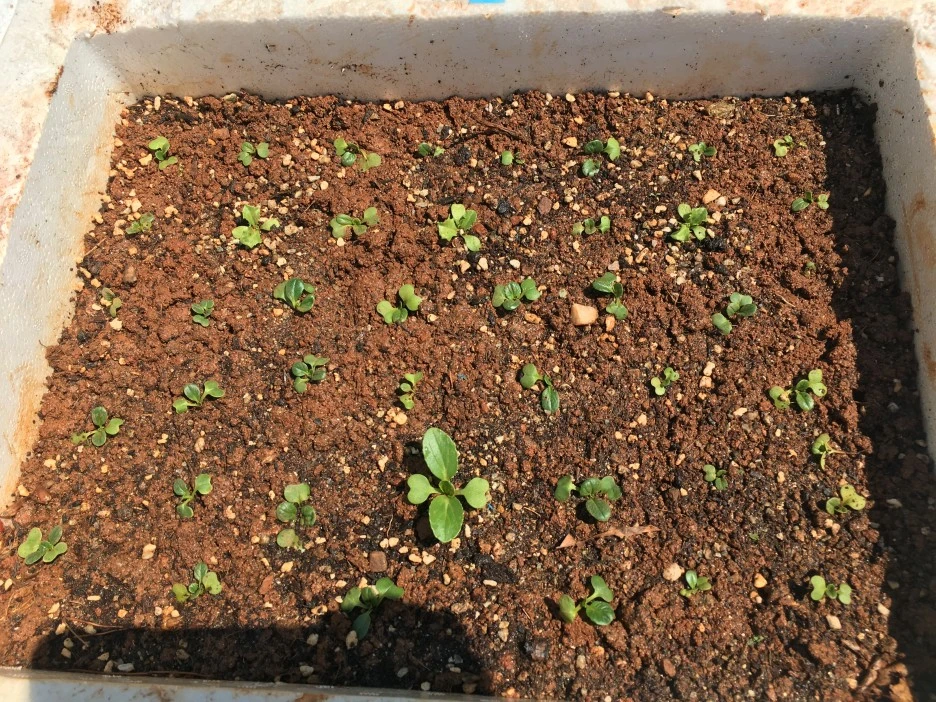 20210414_1041.JPG?type=w1