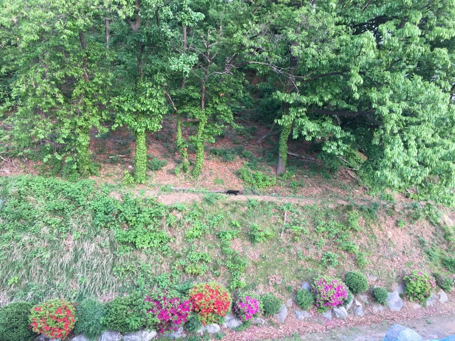 20210428_1167.JPG?type=w1