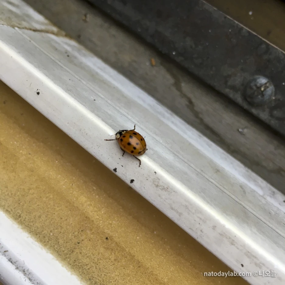 20210301--5.jpg?type=w1