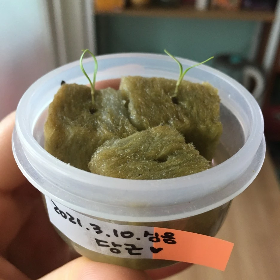 20210328_0371.JPG?type=w1