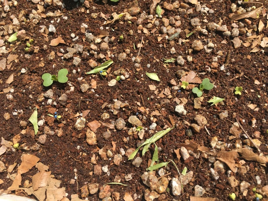 20210425_1039.JPG?type=w1