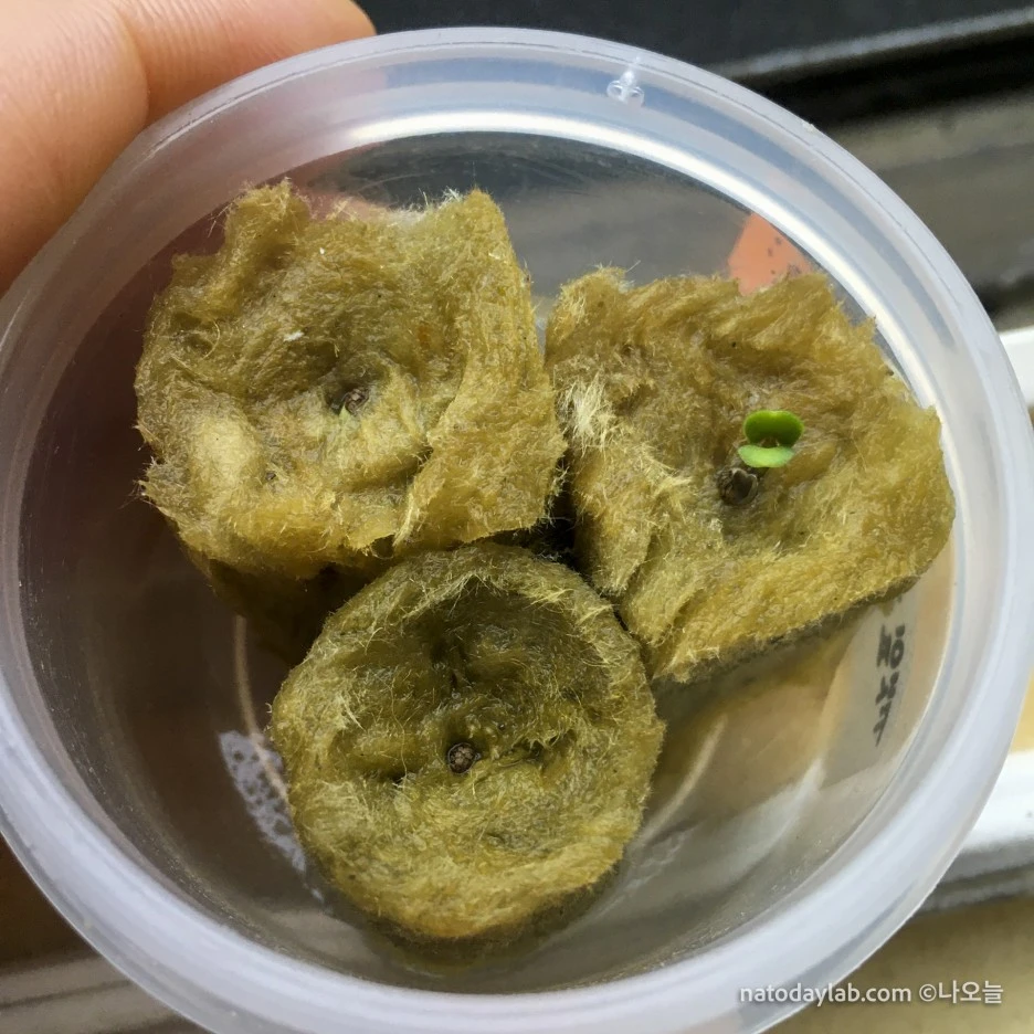 20210301-.jpg?type=w1